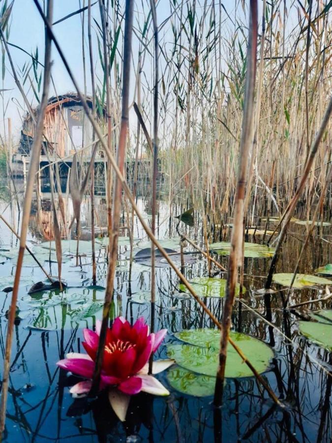 Bebru Maja - Beaver House Usma Luaran gambar