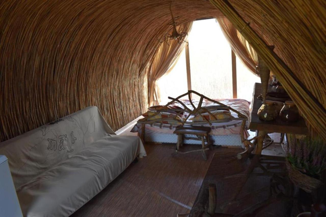 Bebru Maja - Beaver House Usma Luaran gambar